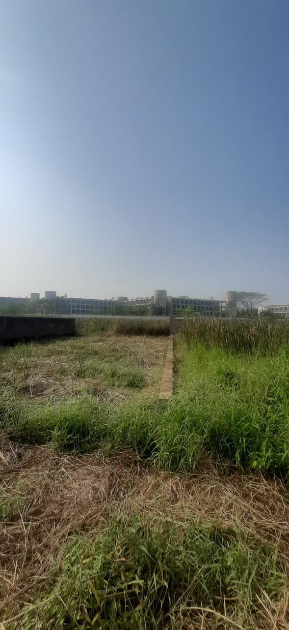 Joka,Mitra Garden,Land (office)