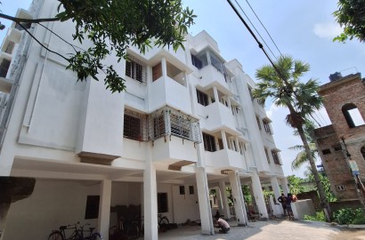 Srijani,Aurobindapally,780sqft,2BHK (PA442)