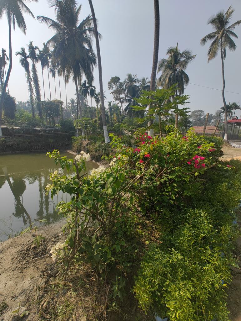 Burul,S24Pgs District,2storey Villa (PA146)