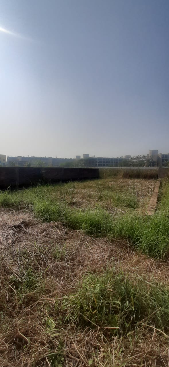 Joka,Mitra Garden,Land (office)