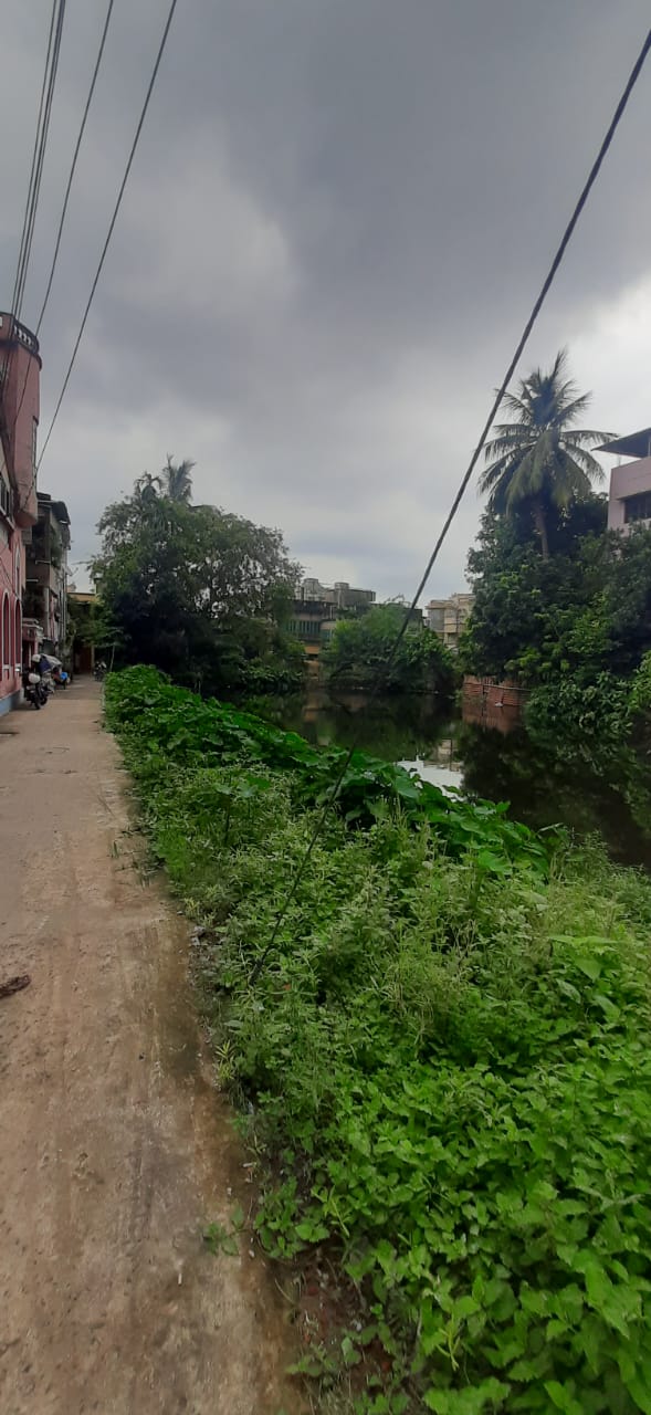 Behala Arcadia,Unique Park Road,2Stored House (OA319)