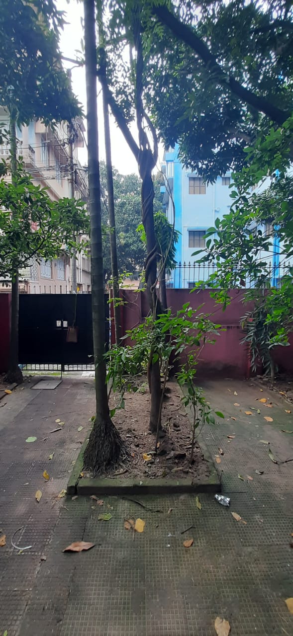 Behala West,Becharam Chatterjee Road,1000sqft,2BHK (OA283, PA146)