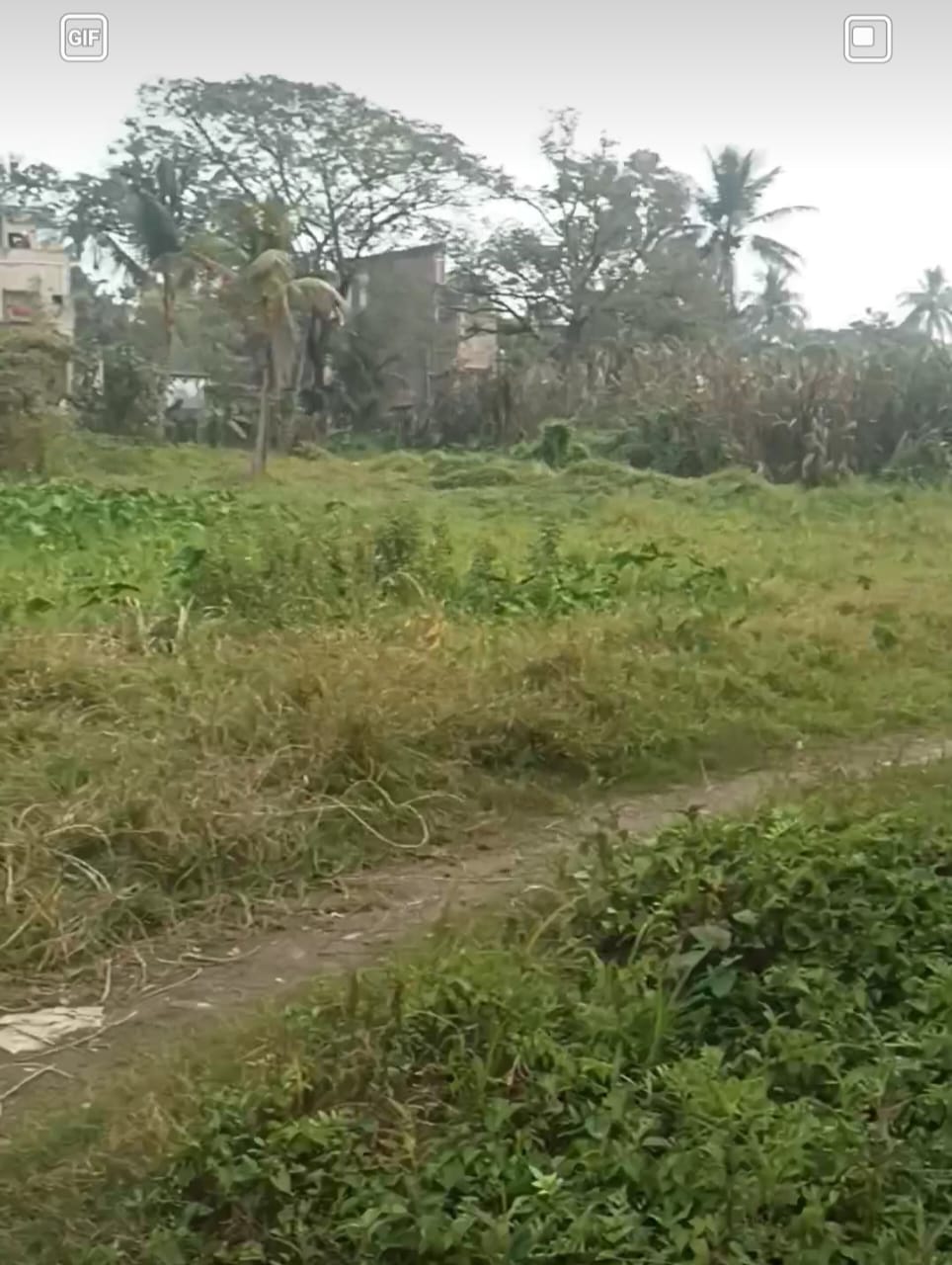 Thakurpukur Balaka,Residential Land,1katha 12chatak 35sqft area (OA396)