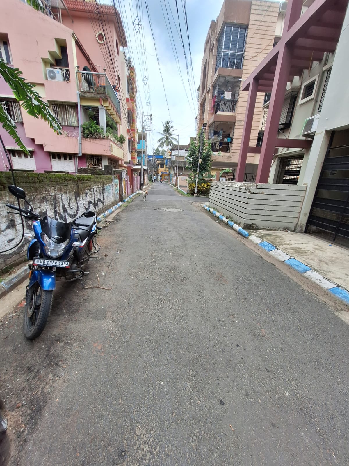 Behala East,Satyen Roy Road,Durga Rani Apartment,1200sqft,3BHK (BA124)