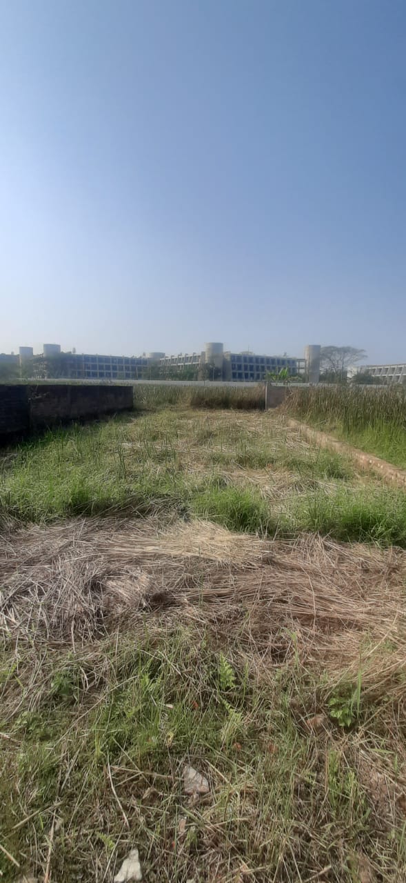 Joka,Mitra Garden,Land (office)