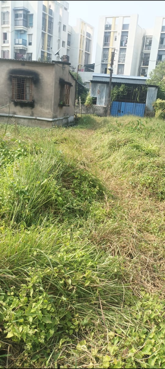 Thakurpukur Balaka,Residential Land,1katha 12chatak 35sqft area (OA396)