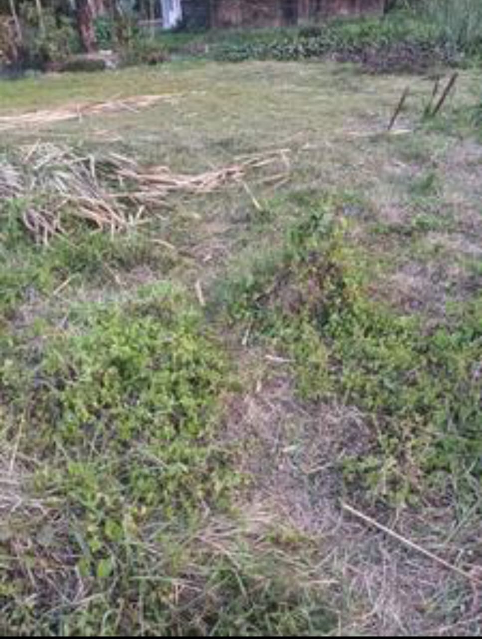 Thakurpukur Balaka,Residential Land,1katha 12chatak 35sqft area (OA396)