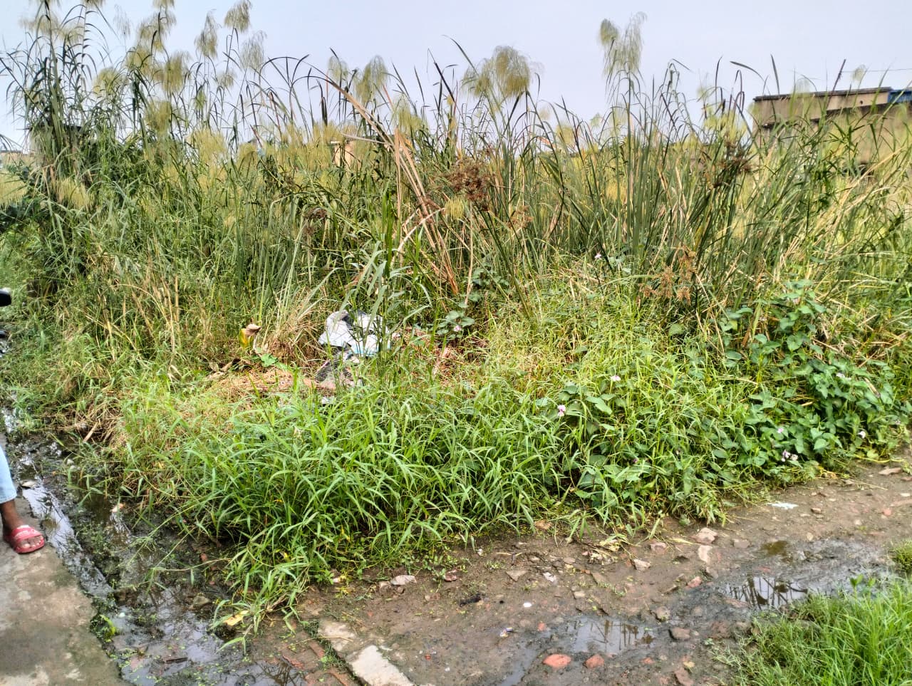 Maheshtala Shibrampur,Beledanga Bi Lane,Residential Land (OA413)
