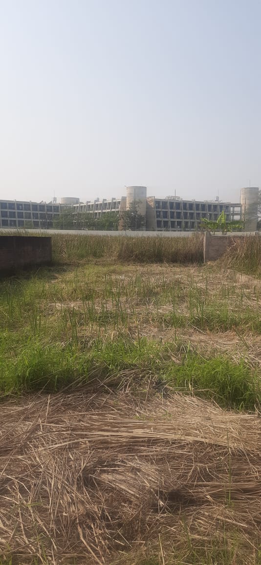 Joka,Mitra Garden,Land (office)