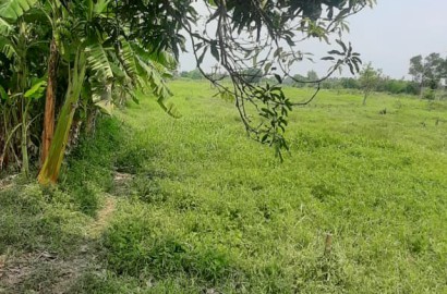 Srijani,Thakuranir Chak,Residential Land (OA384)