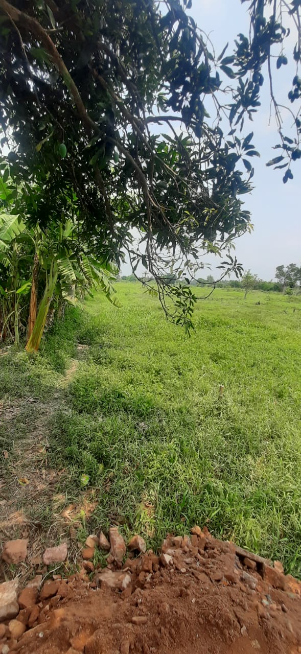 Srijani,Thakuranir Chak,Residential Land (OA384)