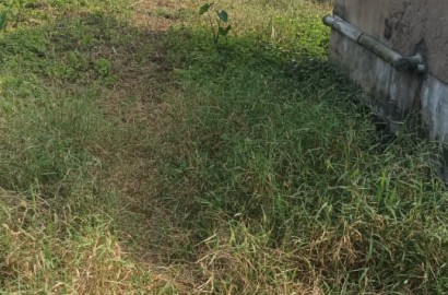 Thakurpukur Balaka,Residential Land,1katha 12chatak 35sqft area (OA396)