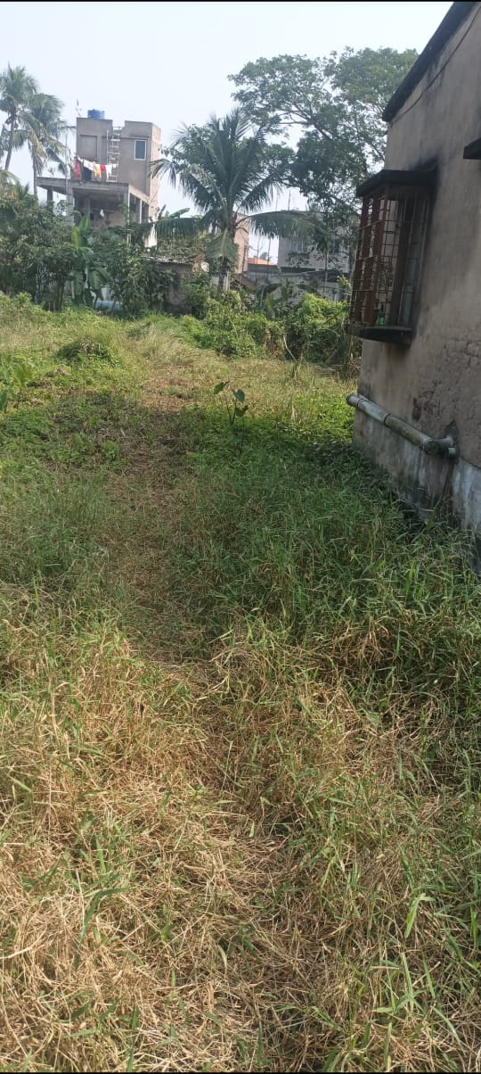 Thakurpukur Balaka,Residential Land,1katha 12chatak 35sqft area (OA396)