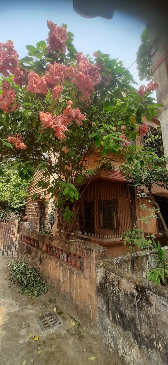 Behala East,Jaysree Park,2Storey House (BA213)