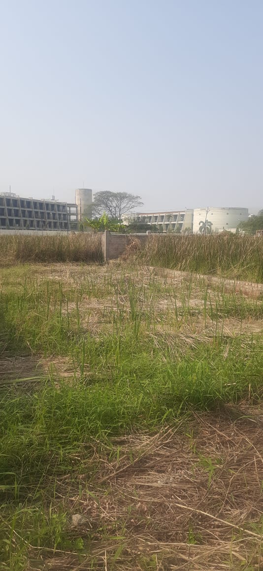 Joka,Mitra Garden,Land (office)