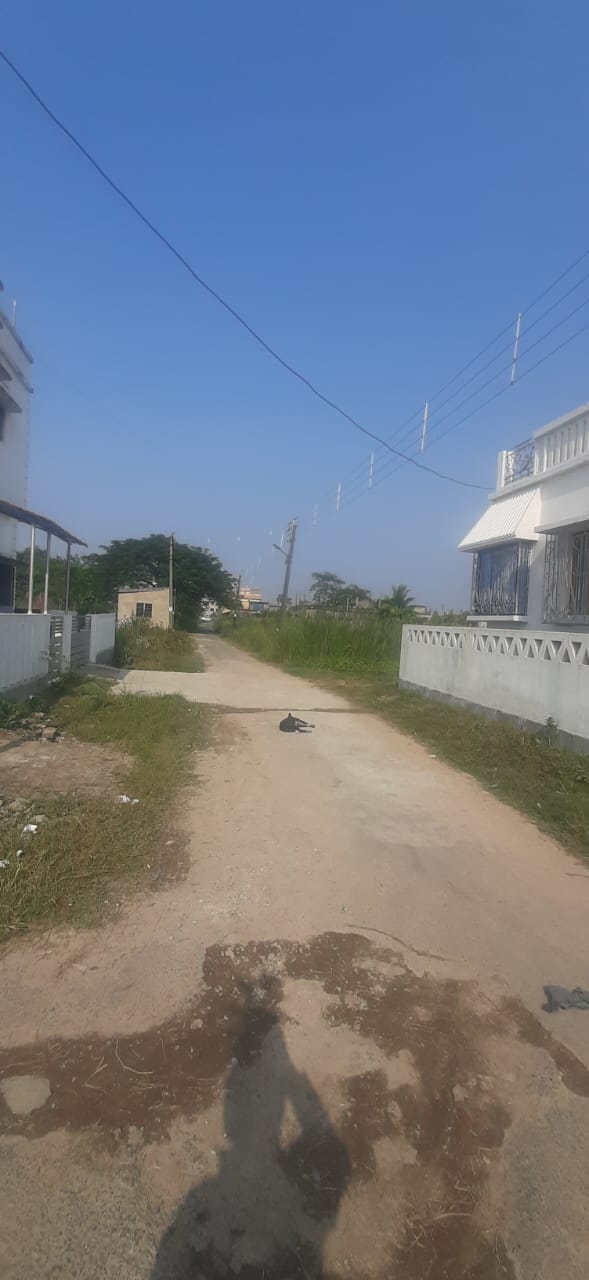 Joka,Mitra Garden,Land (office)